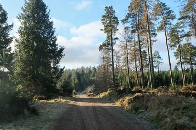 Walk photo