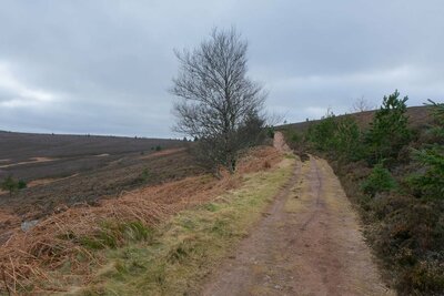 Walk photo
