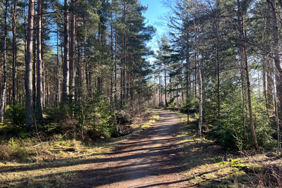 Walk photo