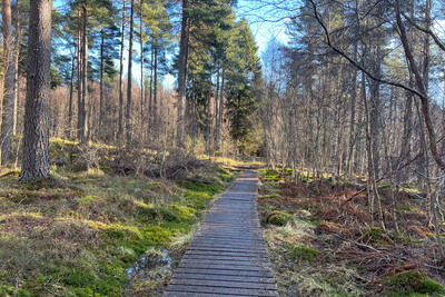 Walk photo