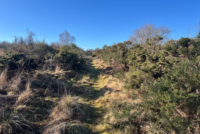 Walk photo