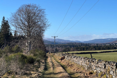 Walk photo