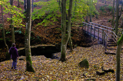 Walk photo