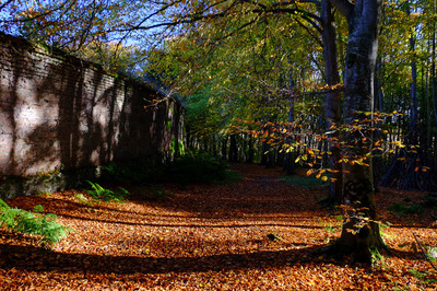 Walk photo