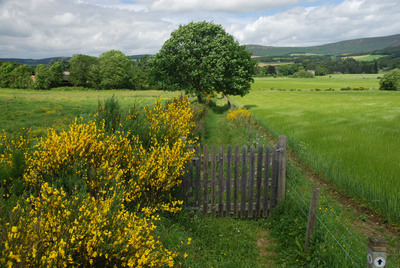 Walk photo