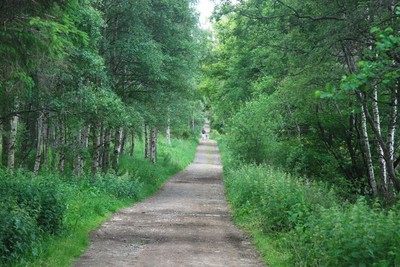 Walk photo