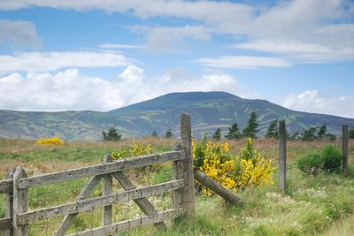 Walk photo