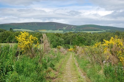 Walk photo