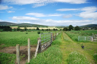 Walk photo