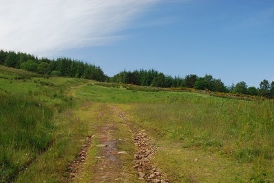 Walk photo