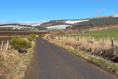 Walk photo