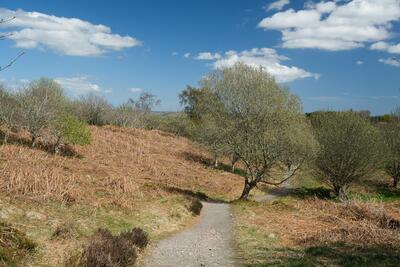 Walk photo