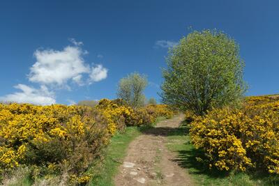 Walk photo