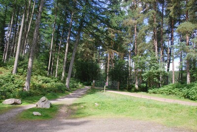 Walk photo