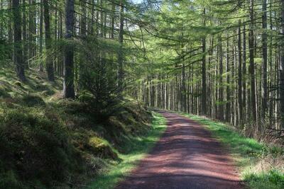 Walk photo