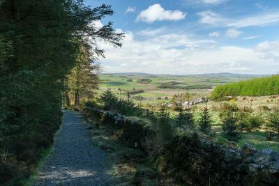 Walk photo