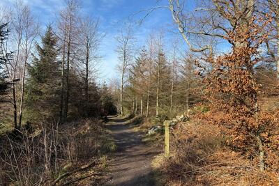 Walk photo