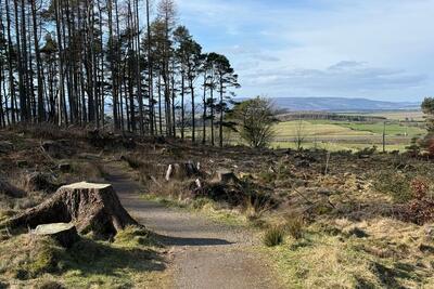 Walk photo