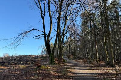 Walk photo