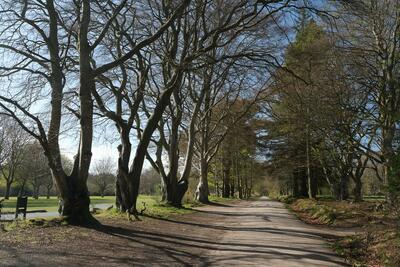 Walk photo