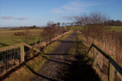 Walk photo
