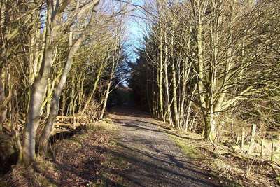 Walk photo