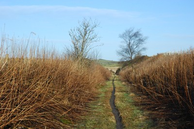 Walk photo