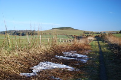 Walk photo