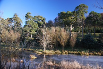 Walk photo