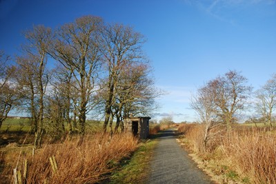 Walk photo