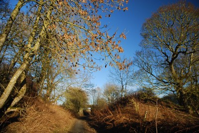 Walk photo