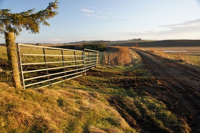 Walk photo