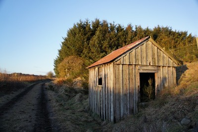 Walk photo
