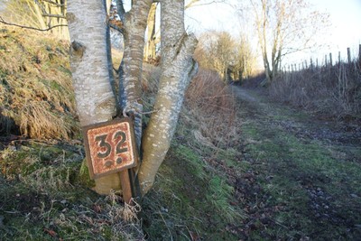 Walk photo