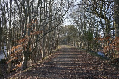 Walk photo