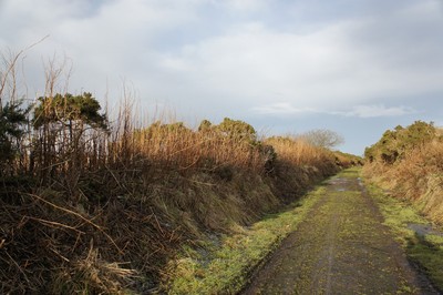 Walk photo