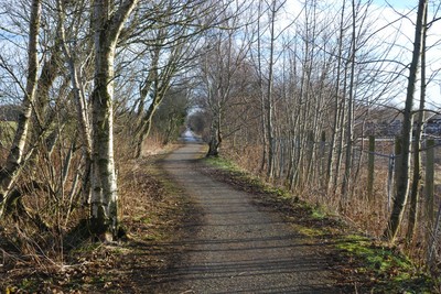 Walk photo