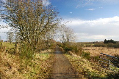 Walk photo