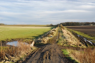 Walk photo
