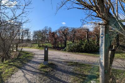Walk photo