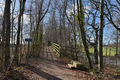Walk photo