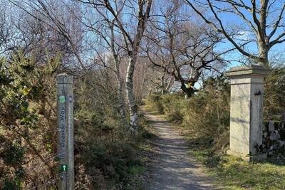 Walk photo