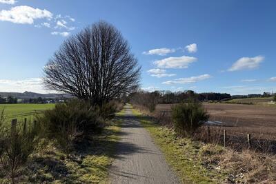 Walk photo