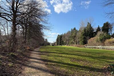 Walk photo