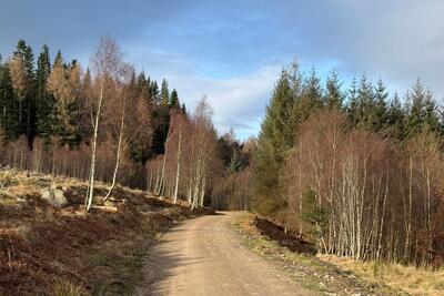 Walk photo