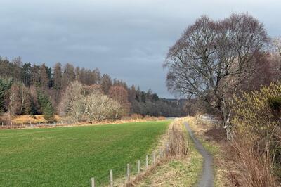 Walk photo