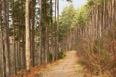 Walk photo
