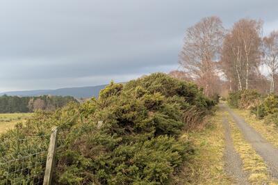 Walk photo