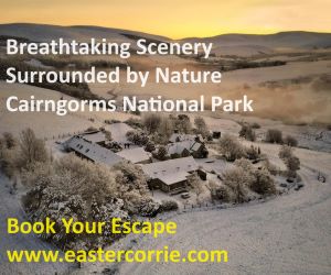 Easter Corrie - Loch an Eilein walk sponsor