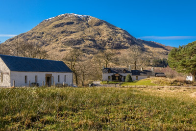 AREA SPONSOR: Heart of Glencoe Holidays, Glencoe